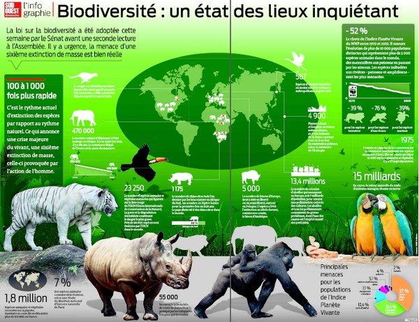 biodiversite.jpg